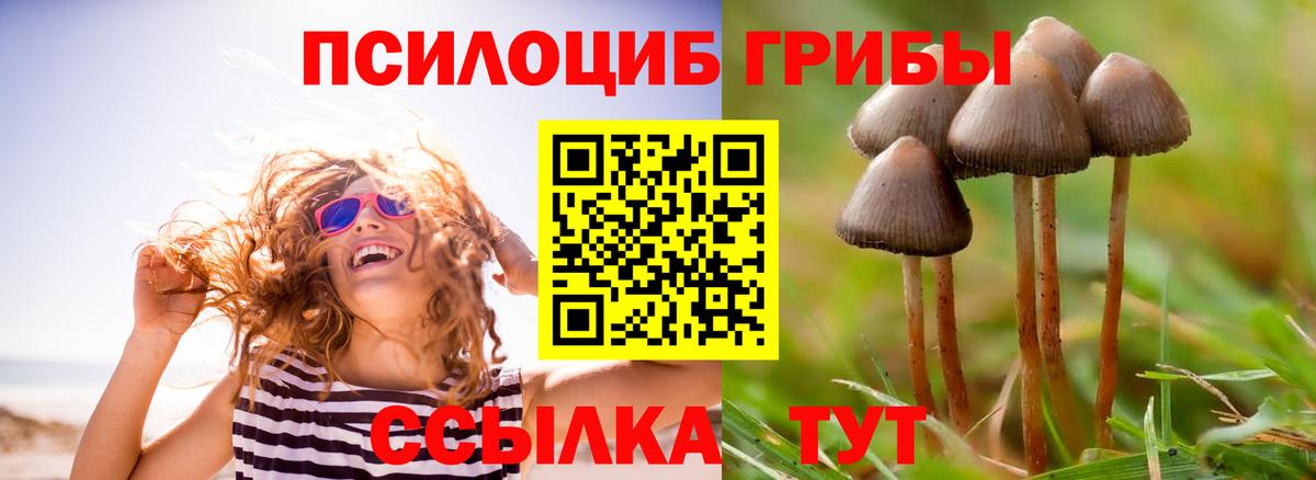 Братск  Галлюциногенные грибы GOLDEN TEACHER  Вход с VPN 